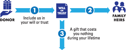 This diagram represents how to leave a gift through your will or trust - a gift that costs nothing during lifetime.